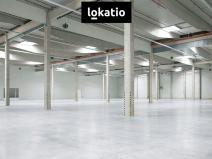 Pronájem skladu, Karviná, 10446 m2