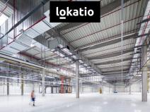 Pronájem skladu, Ostrava, 5000 m2