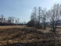 Prodej pozemku pro komerční výstavbu, Metylovice, 20202 m2