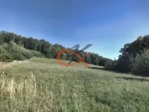 Prodej pole, Krhová, 6015 m2