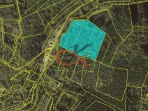 Prodej lesa, Dolní Bečva, 15729 m2