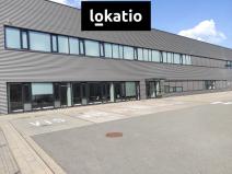 Pronájem skladu, Solnice, Průmyslová, 13143 m2