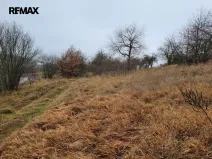 Prodej trvalého travního porostu, Třebsko, 6483 m2