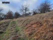 Prodej trvalého travního porostu, Třebsko, 6483 m2