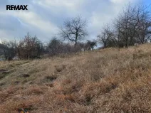 Prodej trvalého travního porostu, Třebsko, 6483 m2