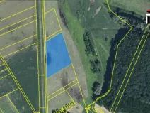 Prodej trvalého travního porostu, Vranovice, 6440 m2