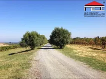 Prodej zahrady, Vranovice, 350 m2