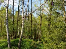 Prodej pozemku, Karlovy Vary - Hůrky, K Letišti, 3000 m2