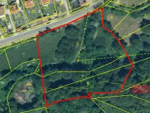 Prodej trvalého travního porostu, Vysoký Chlumec, 16339 m2