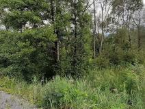Prodej trvalého travního porostu, Loučná nad Desnou, 2427 m2