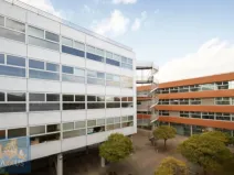 Pronájem kanceláře, Brno - Zábrdovice, Plynárenská, 520 m2