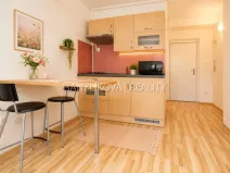 Pronájem bytu 1+kk, České Budějovice - České Budějovice 3, Lipenská, 21 m2