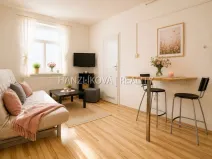 Pronájem bytu 1+kk, České Budějovice - České Budějovice 3, Lipenská, 21 m2