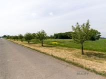 Prodej pozemku pro komerční výstavbu, Grygov, 3166 m2