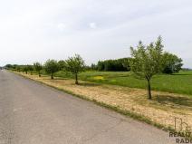 Prodej pozemku pro komerční výstavbu, Grygov, 3166 m2