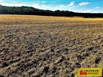 Prodej zemědělské půdy, Jedovnice, 3776 m2