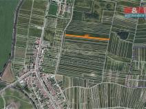 Prodej zemědělské půdy, Terezín, 250 m2