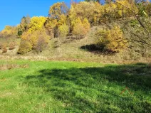 Prodej pozemku pro bydlení, Heřmánkovice, 4496 m2