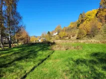 Prodej pozemku pro bydlení, Heřmánkovice, 4996 m2