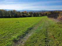 Prodej louky, Broumov, 52559 m2