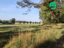 Prodej zemědělské půdy, Konárovice, 13070 m2