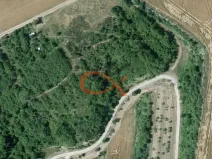 Prodej sadu/vinice, Dambořice, 1911 m2