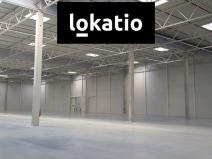 Pronájem skladu, Údlice, 12500 m2