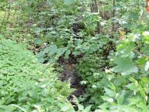 Prodej pozemku pro komerční výstavbu, Horní Heřmanice, 4584 m2