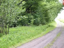 Prodej pozemku pro komerční výstavbu, Horní Heřmanice, 4584 m2