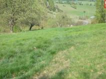 Prodej pozemku pro bydlení, Domašov nad Bystřicí, 11569 m2