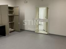 Pronájem skladu, Kopřivnice, 42 m2