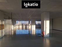 Pronájem skladu, Hradec Králové - Pražské Předměstí, 830 m2