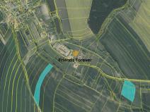 Prodej zemědělské půdy, Cerekvička-Rosice - Cerekvička, 11481 m2