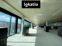 Pronájem kanceláře, Olomouc, 690 m2