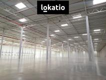 Pronájem skladu, Syrovice, 5061 m2