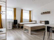 Pronájem bytu 1+kk, Brno - Staré Brno, Václavská, 22 m2
