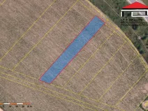 Prodej zemědělské půdy, Sobotovice, 596 m2