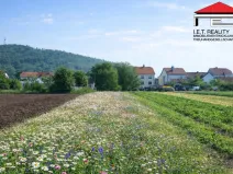 Prodej pozemku pro bydlení, Drásov, 2635 m2