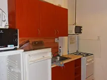 Pronájem atypického bytu, Olomouc, Wellnerova, 20 m2