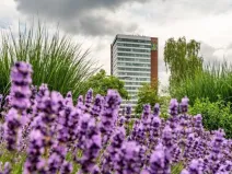 Pronájem kanceláře, Praha - Stodůlky, Bucharova, 280 m2