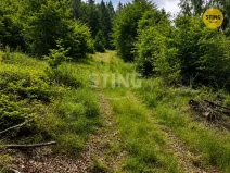 Prodej trvalého travního porostu, Košařiska, 6262 m2