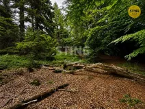 Prodej trvalého travního porostu, Košařiska, 6262 m2