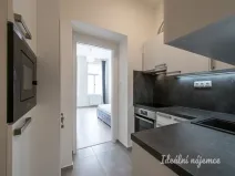 Pronájem bytu 1+1, Praha - Žižkov, Prokopova, 29 m2