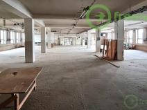 Pronájem skladu, Chlumec nad Cidlinou, Gollova, 45000 m2