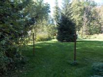 Prodej zahrady, Neveklov - Radslavice, 224 m2