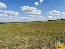 Prodej pozemku pro komerční výstavbu, Znojmo - Mramotice, 8168 m2