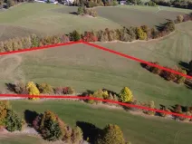 Prodej trvalého travního porostu, Stachy, 15932 m2
