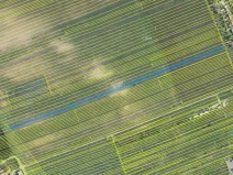 Prodej zemědělské půdy, Břeclav, Havlíčkova, 1437 m2