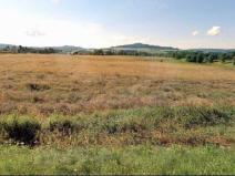 Prodej zemědělské půdy, Stružná - Žalmanov, 44327 m2