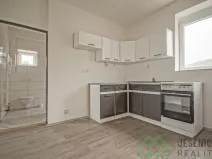 Pronájem bytu 1+1, Vápenná, 42 m2